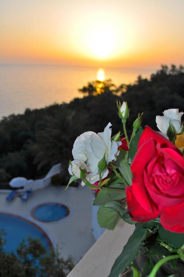 Holiday Apartments Maria With Pool - Agios Gordios Beach Eksteriør billede